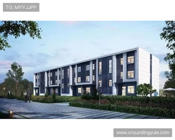 关于苏州云顶公司数量及其在本地市场的影响力探讨