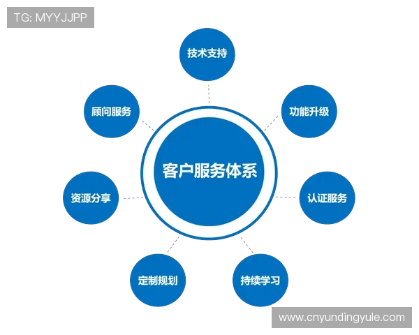 DS视讯平台的客户服务与技术支持详解，确保用户无忧使用体验